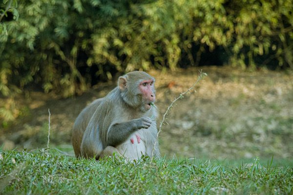 Trouver un médecin de garde facilement