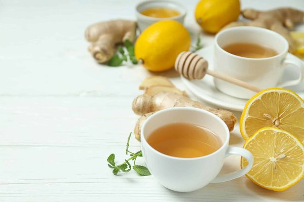 Le pouvoir des plantes sur la santé et le bien-être : tout découvrir